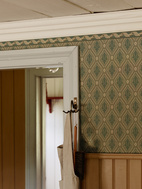 Eugen bård Grön
