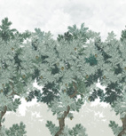 Scent of Pines Green