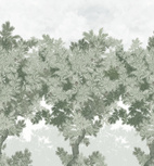Scent of Pines Grey Green