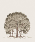 Beech Beige Brown